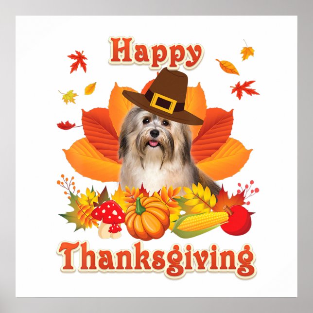 Affiche Bon thanksgiving Havanais Chien Je Suis Heureux (Devant)
