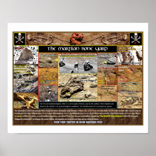 Affiche Boneyard de Mar