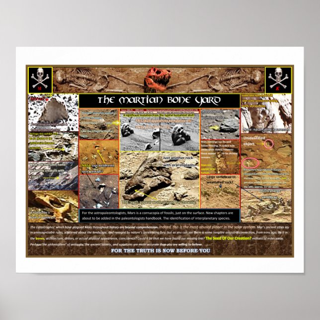 Affiche Boneyard de Mar (Devant)