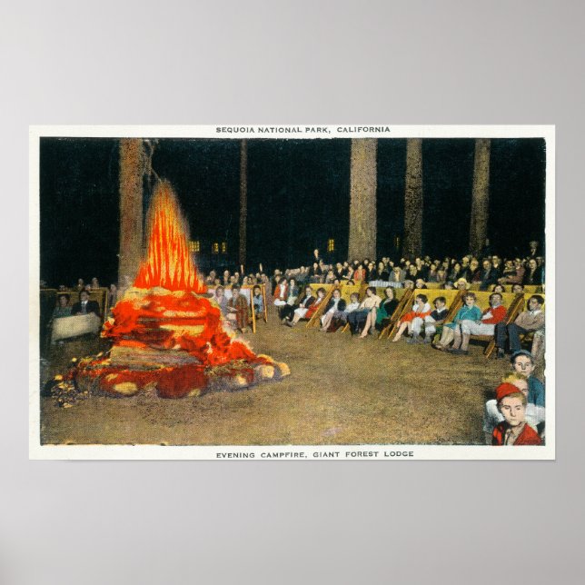 Affiche Bonfire du soir au Giant Forest Lodge (Devant)