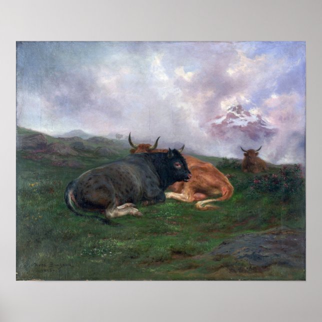 Affiche Bonheur - Cattle At Rest On A Hillside In The Alps (Devant)