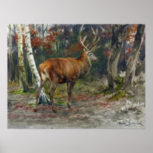 Affiche Bonheur - Cerf en vedette