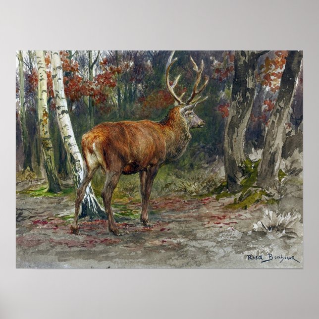 Affiche Bonheur - Cerf en vedette (Devant)