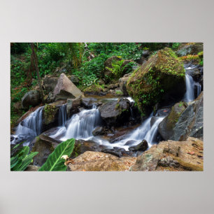 Affiche Bonheur de la nature