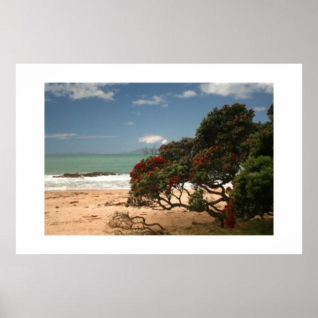 Affiche Bonheur de la plage - Arbre Pohutukawa (Devant)