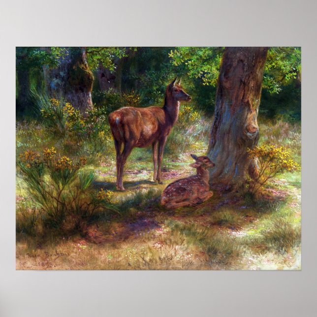 Affiche Bonheur - Deer And Beasts In A Wood (Devant)