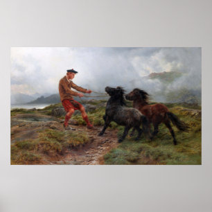 Affiche Bonheur - Ghillie Shetland Ponies Dans un paysage