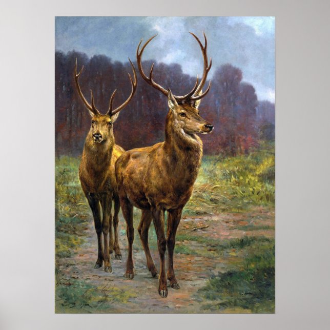 Affiche Bonheur - Monarques De La Forêt (Devant)