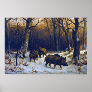 Affiche Bonheur - Sangliers dans la neige