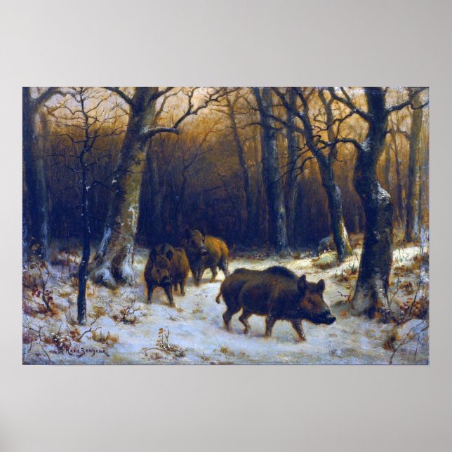 Affiche Bonheur - Sangliers dans la neige (Devant)