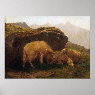 Affiche Bonheur - Sheep On A Hill