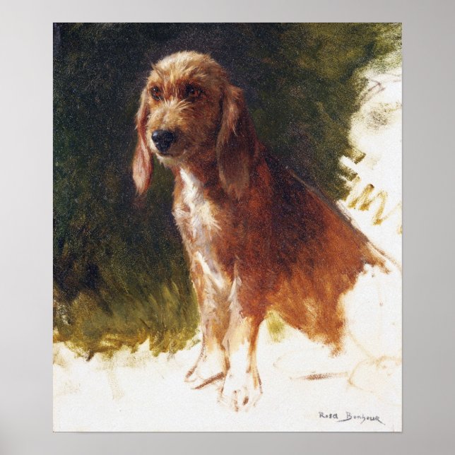 Affiche Bonheur - Study Of A Dog (Devant)