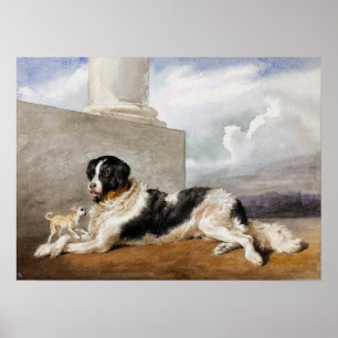 Affiche Bonheur - Sultan Et Rosette