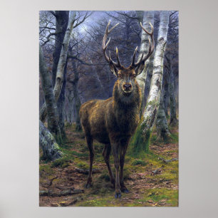 Affiche Bonheur - The King Of The Forest