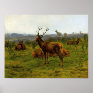 Affiche Bonheur - The Monarch Of The Pack