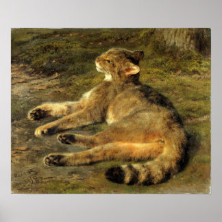 Affiche Bonheur - Wild Cat