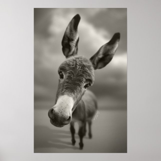 Affiche Bonjour  (Devant)