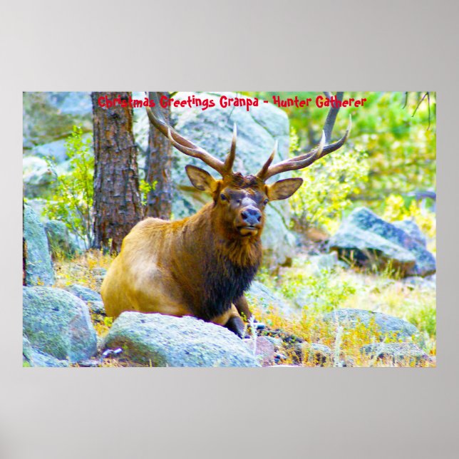 Affiche Bonjour Noël Grand-père Hunter Gatherer (Devant)