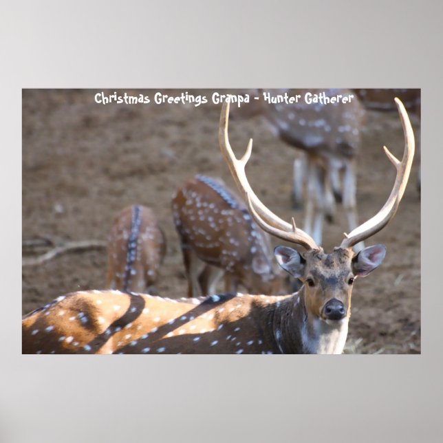 Affiche Bonjour Noël Grand-père Hunter Gatherer (Devant)