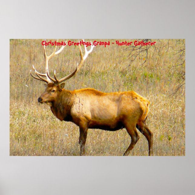 Affiche Bonjour Noël Grand-père Hunter Gatherer (Devant)