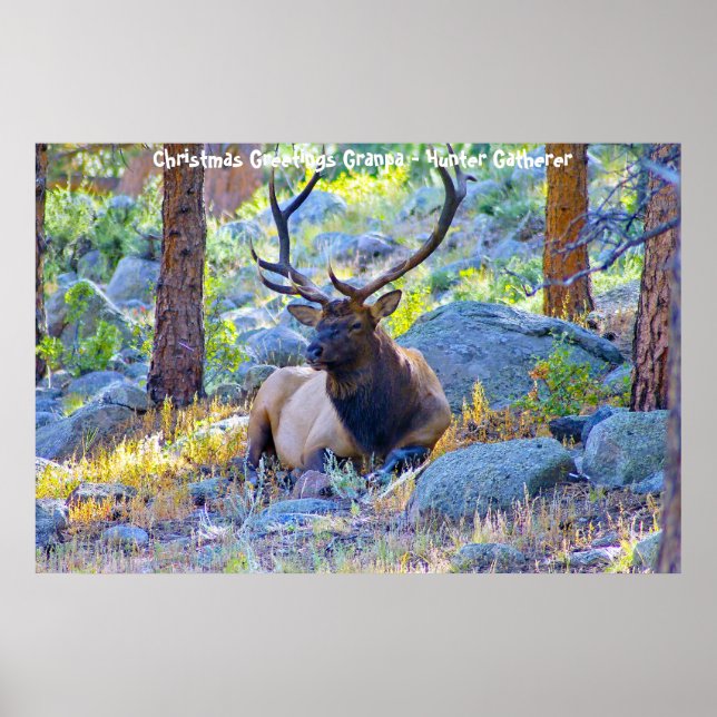 Affiche Bonjour Noël Grand-père Hunter Gatherer (Devant)