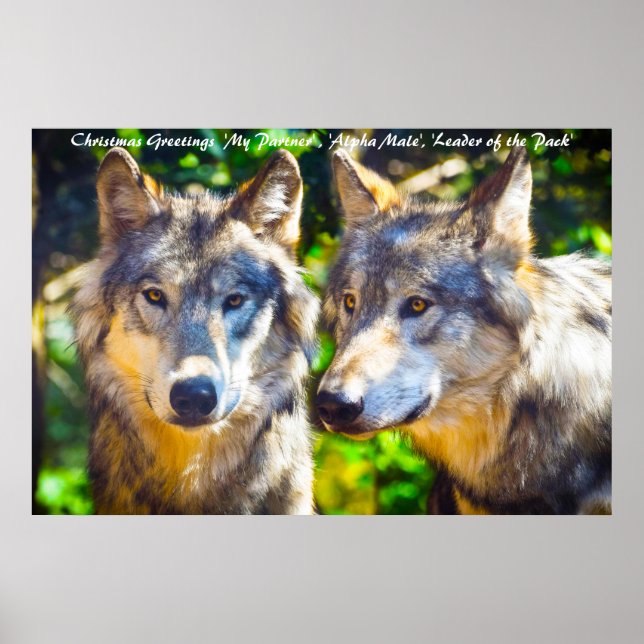 Affiche Bonjour Noël Leader du Pack (Devant)