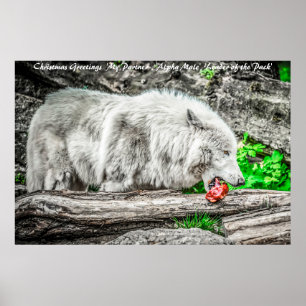 Affiche Bonjour Noël Leader du Pack