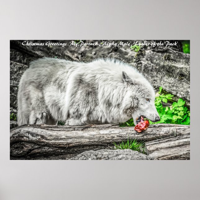 Affiche Bonjour Noël Leader du Pack (Devant)