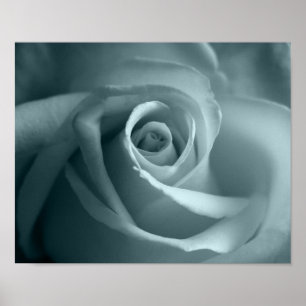 Affiche Bonjour Rose