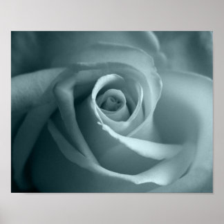 Affiche Bonjour Rose