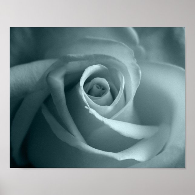 Affiche Bonjour Rose (Devant)