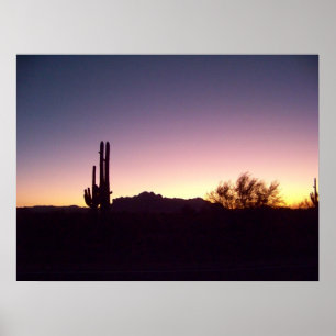 Affiche Bonne nuit, rêves doux