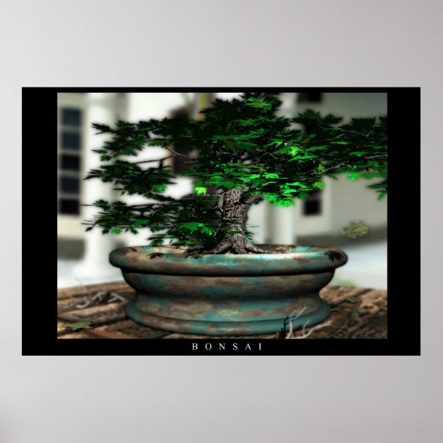 Affiche Bonsai (Devant)