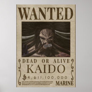 Affiche Bonté Recherchée KAIDO kaido