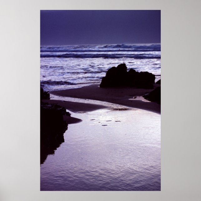 Affiche Boobys Bay (Devant)