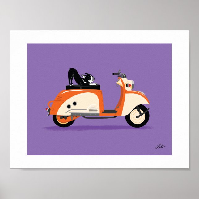 Affiche Boogie sur Tula (Devant)