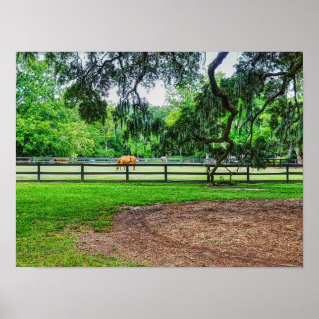 Affiche Boone Hall Stables (Devant)