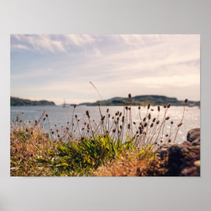Affiche Bord de mer d'Oban