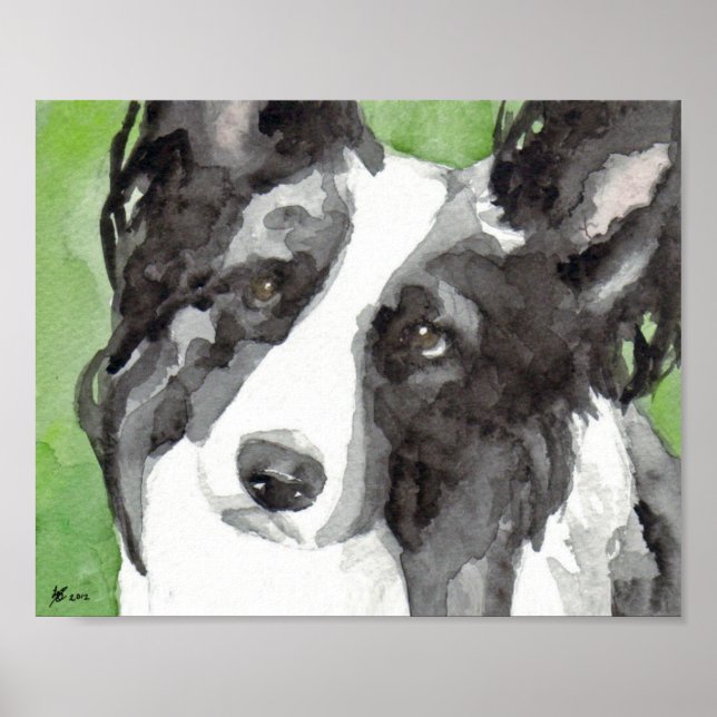 Affiche Border Collie Aquarelle (Devant)