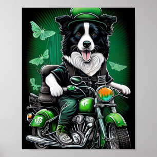 Affiche Border Collie Chien Conduisant Vélo St. Patrick's 