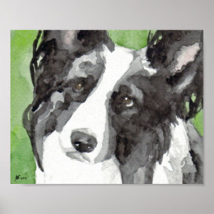 Affiche Bordure Collie Aquarelle