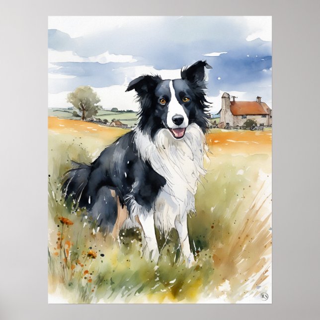 Affiche Bordure Collie - Art Chien Imprimer (Devant)
