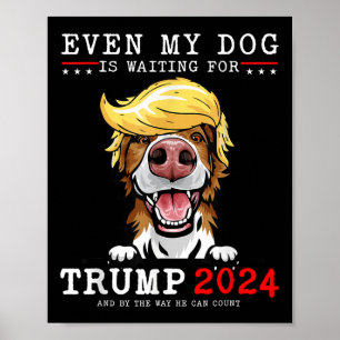 Affiche Bordure Collie Chien Même Mon Chien Attend Trump
