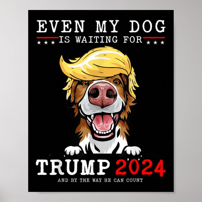 Affiche Bordure Collie Chien Même Mon Chien Attend Trump (Devant)