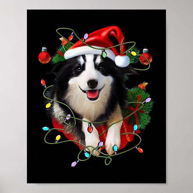 Affiche Bordure Collie Reindeer Santa Hat Noël Lumières Ch (Devant)