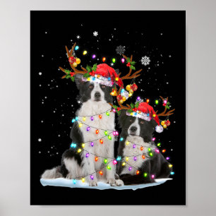 Affiche Bordure Collie Reindeer Santa Hat Noël Lumières Ch