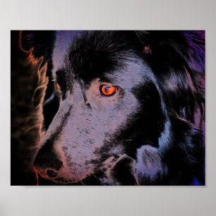 Affiche Bordure noire Collie Chien Visage Art