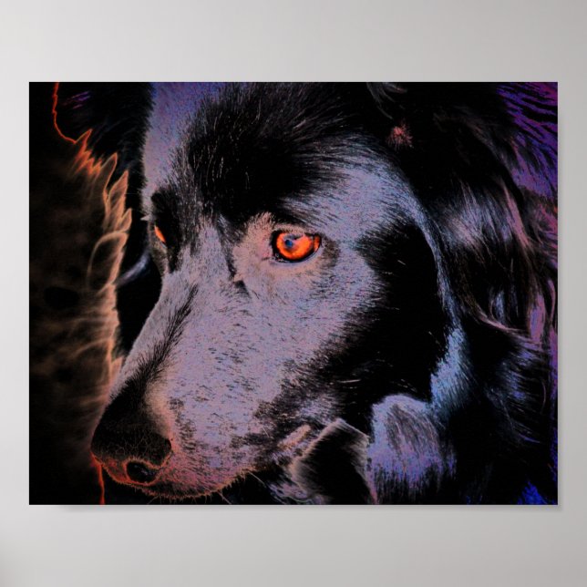 Affiche Bordure noire Collie Chien Visage Art (Devant)