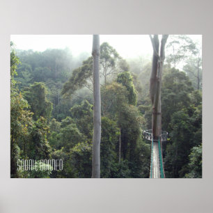 Affiche Borneo forêt tropicale jungle Treetops Walkway Sab