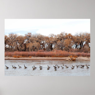 AFFICHE "BOSQUE PARADE"